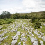 Geological Survey Ireland announces funding awards for community geoheritage projects